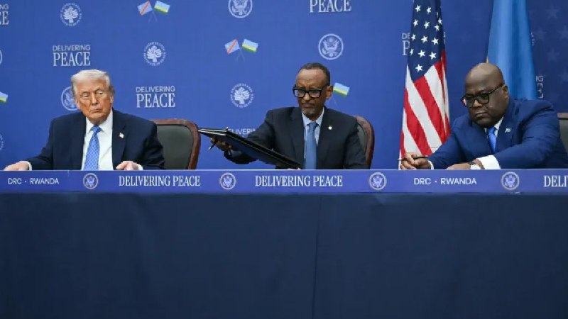 华盛顿斡旋下达成的刚果-卢旺达和平协议：乐观与担忧并存